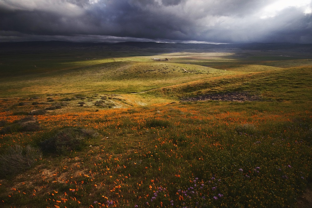 Antelope Valley