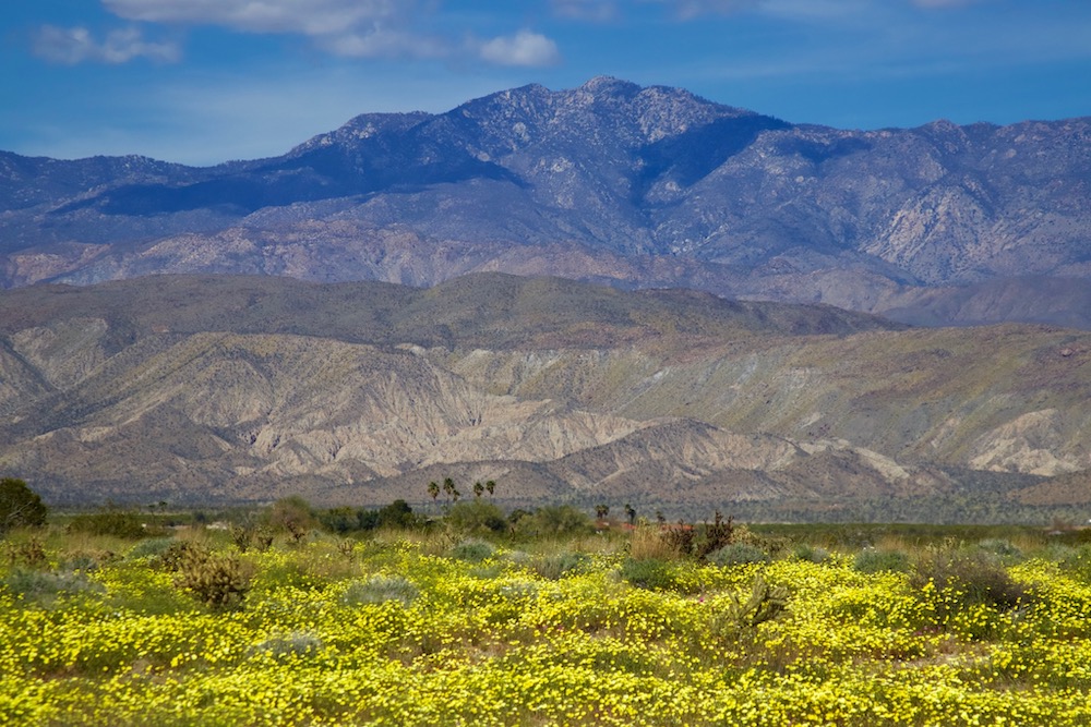 Anza Borrego