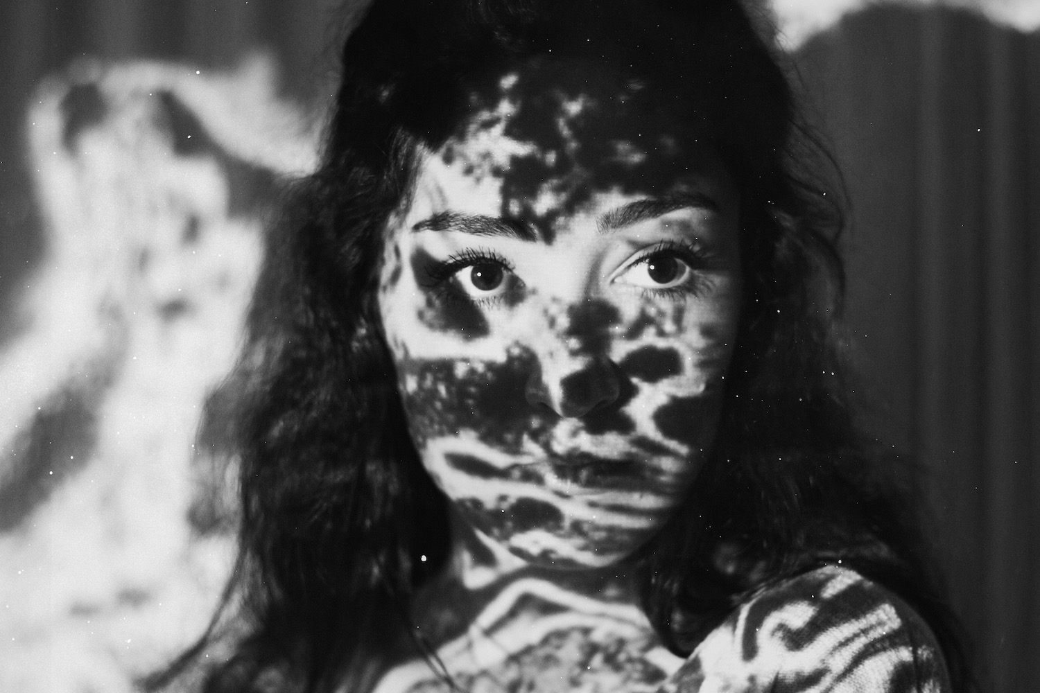 Emily Hansell Collaboration