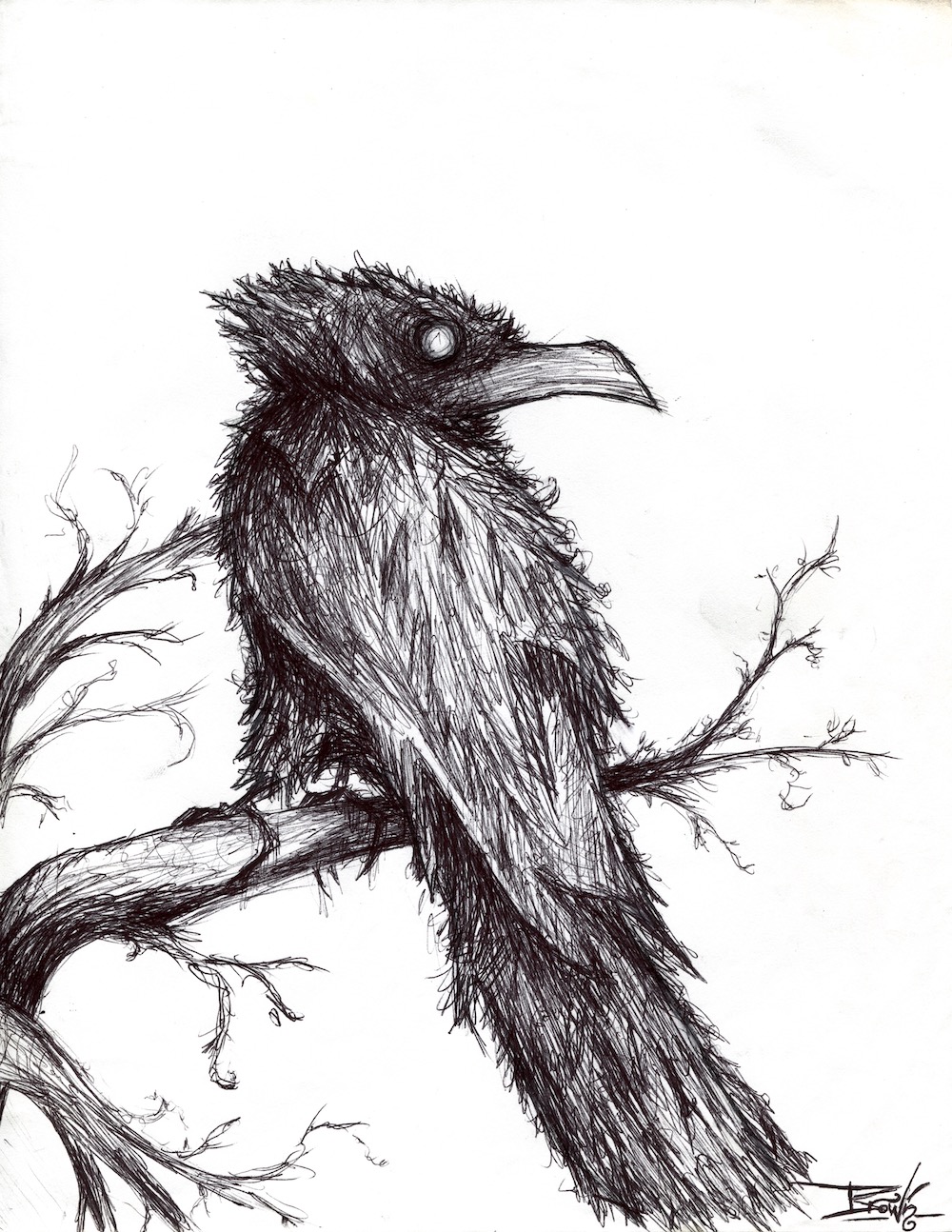 The Raven