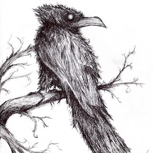 The Raven