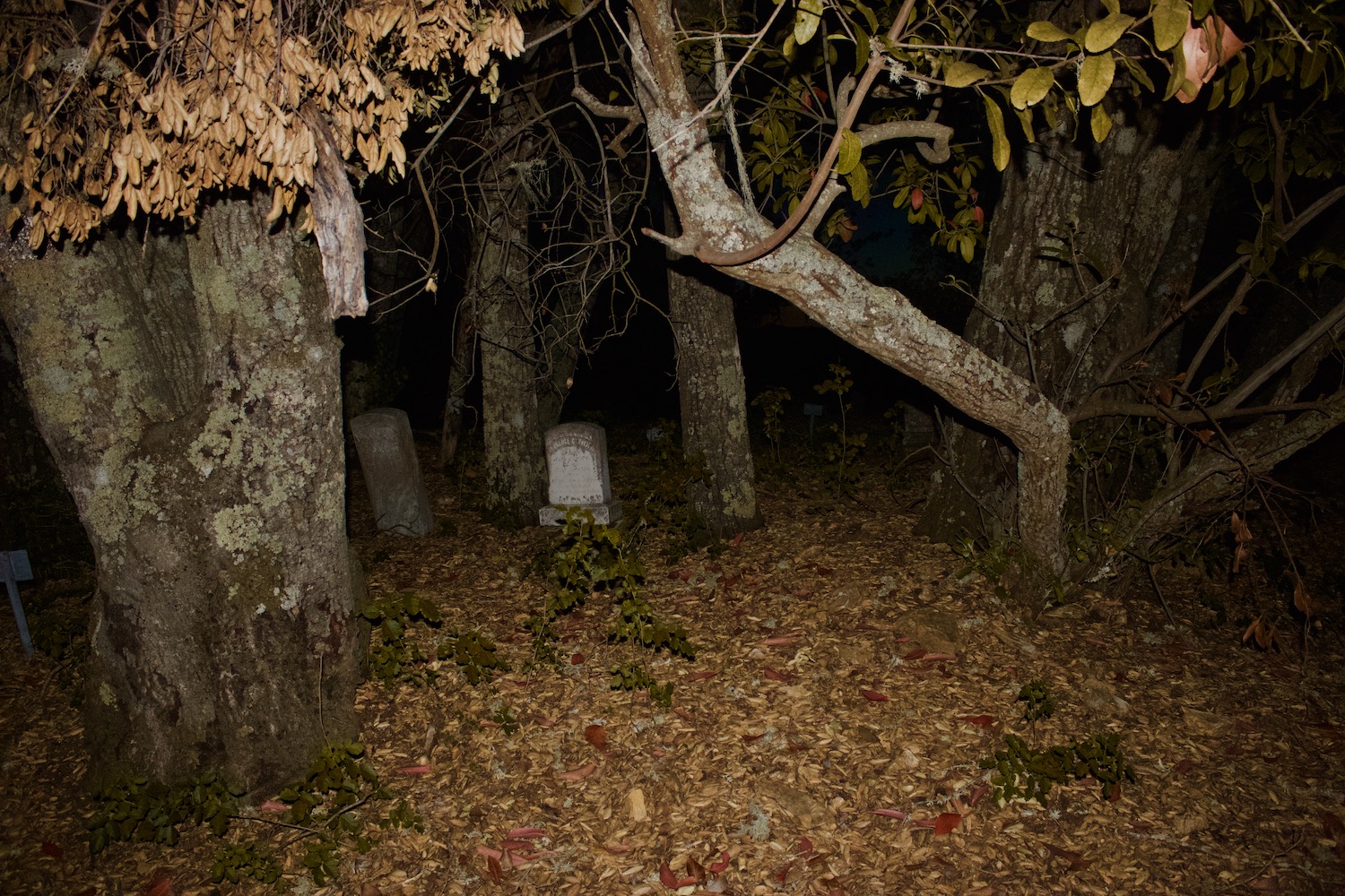 Midnight Graveyard