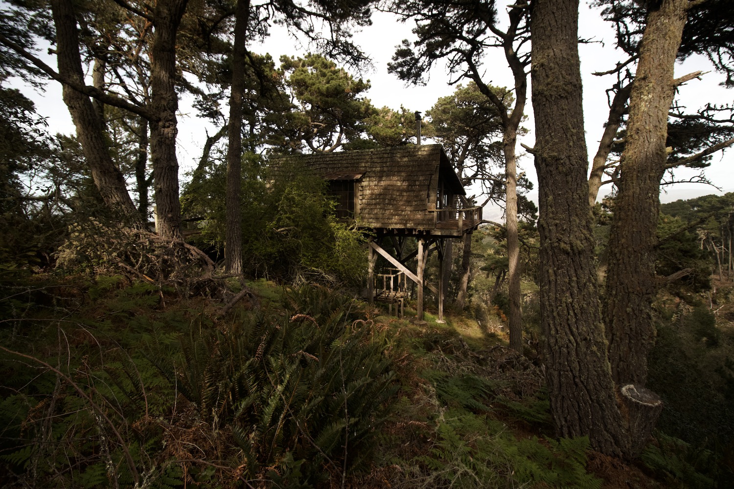 Point Reyes Cabin