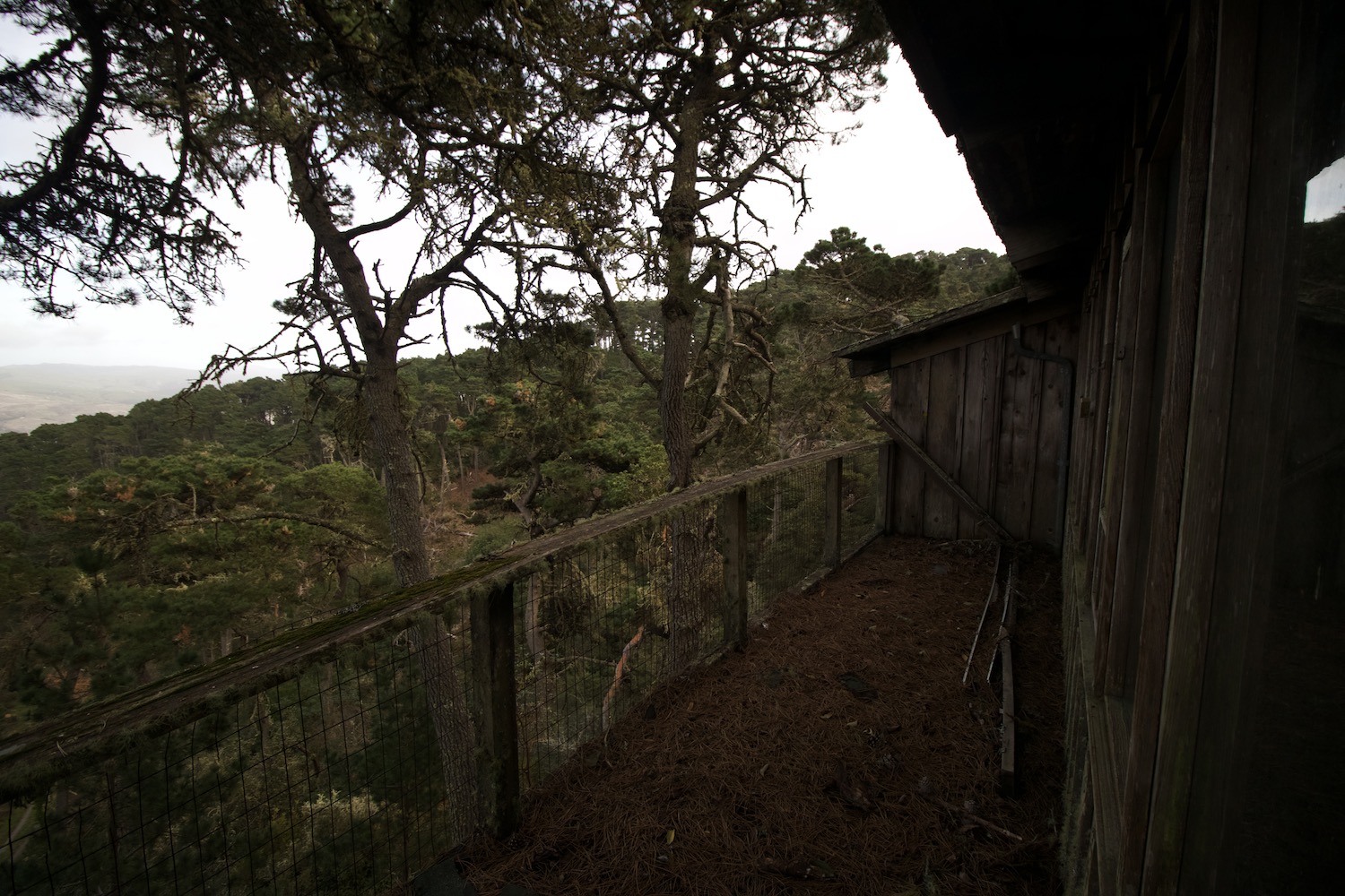Point Reyes Cabin