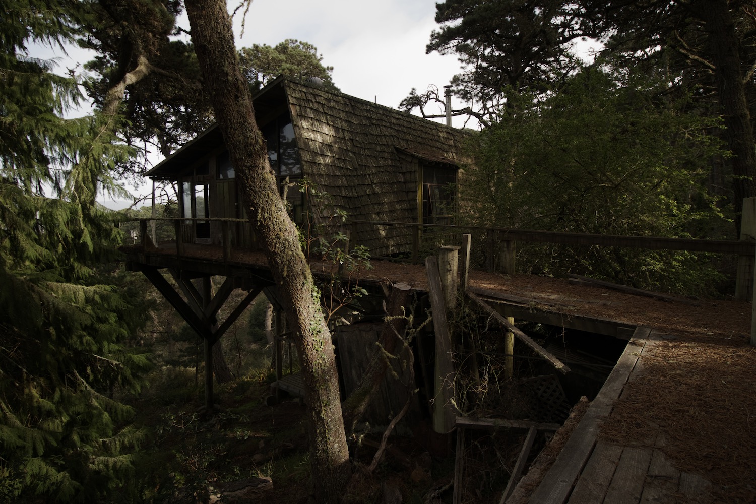Point Reyes Cabin