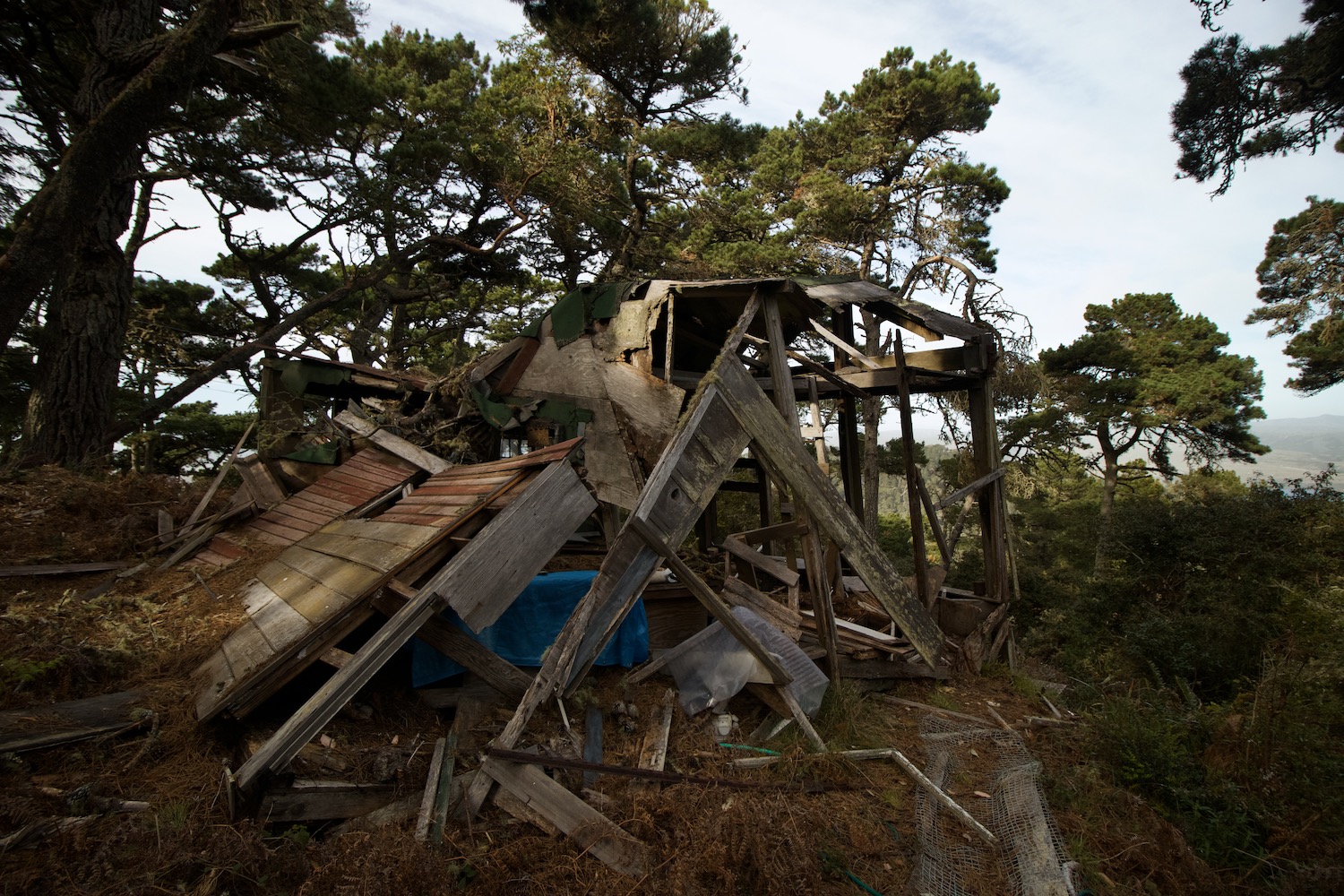 Point Reyes Cabin