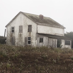 Point Reyes Abandoned